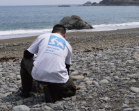 クリーンビーチの様子4