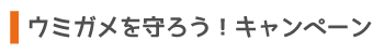 ウミガメを守ろう！キャンペーン
